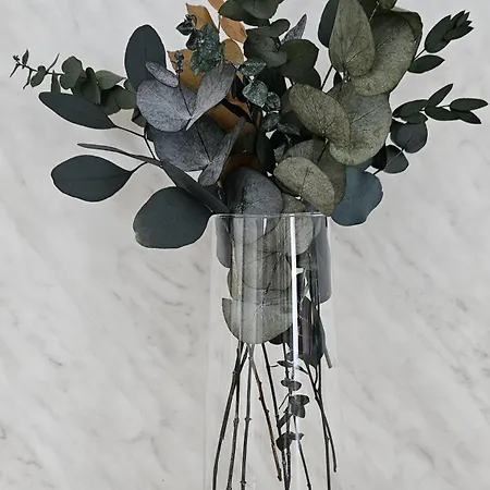 דירה Aquapartment *